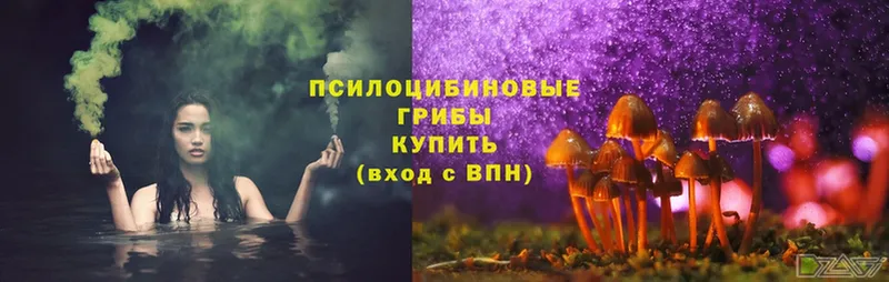 Галлюциногенные грибы MAGIC MUSHROOMS Безенчук